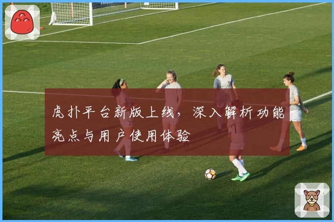 虎扑平台新版上线，深入解析功能亮点与用户使用体验
