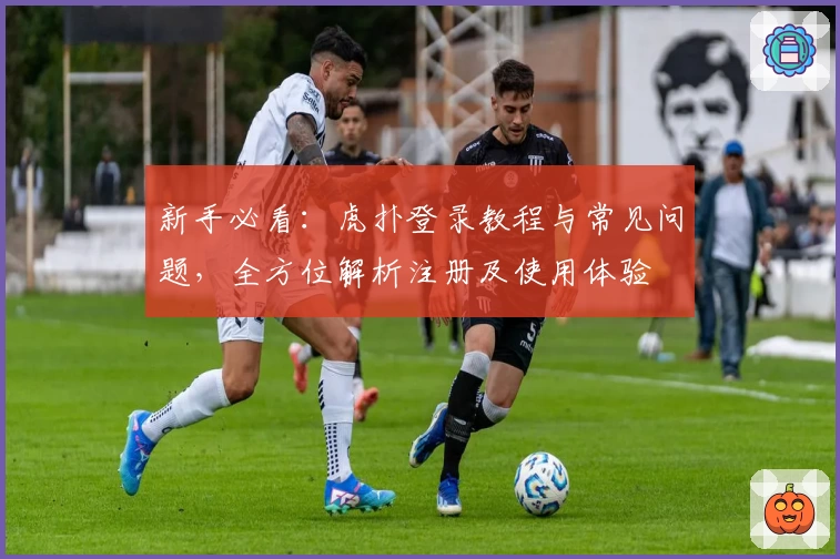 新手必看：虎扑登录教程与常见问题，全方位解析注册及使用体验